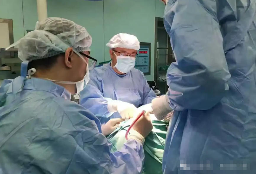 陈斌｜淬炼十三载，临港耳鼻咽喉头颈外科的筑梦人